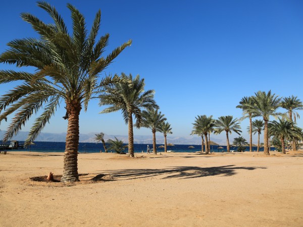 Le spiagge del Mar Rosso | Giordania Viaggio