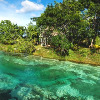 Bacalar