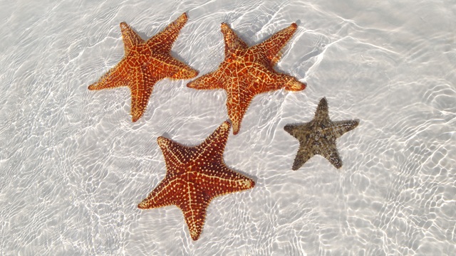 Caleta Buena | Tour in Cuba