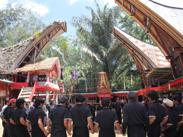 Cerimonia dei Toraja | Indonesia Viaggio