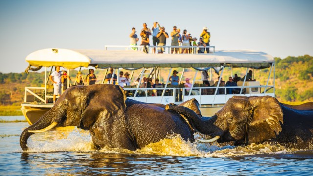 Chobe River | Botswana Safari
