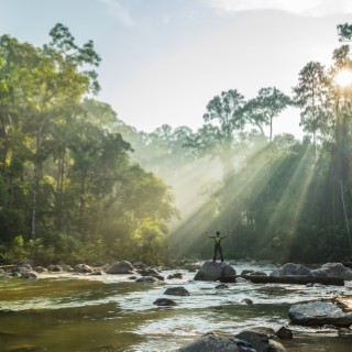 Endau Rompin National Park