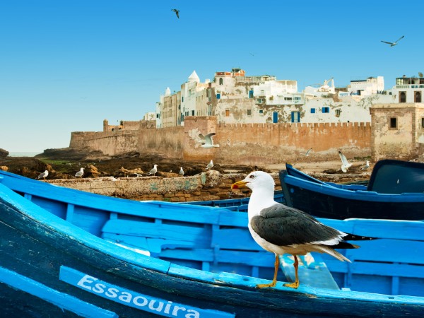 Essaouira | Marocco Viaggio