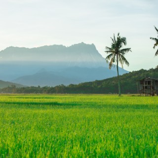 Kinabalu Park