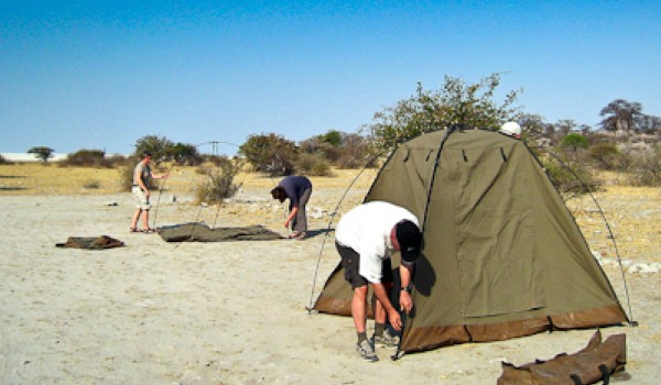 Montaggio tende camping libero Botswana | Safari in Botswana