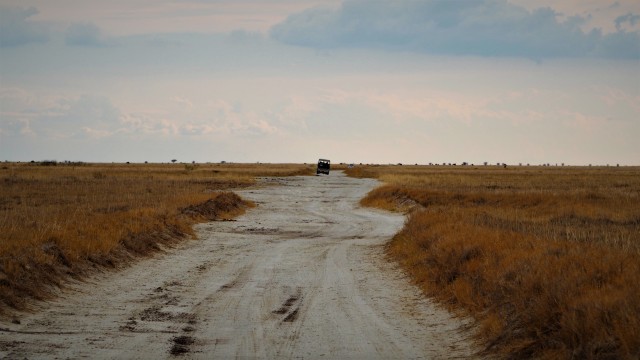Nata | Botswana Safari