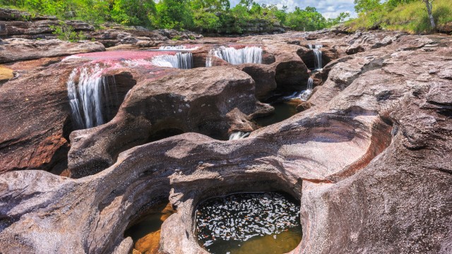 Parco di Caño Cristales | Tour Colombia