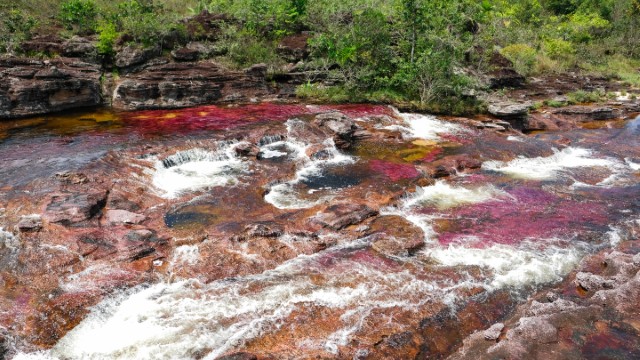 Parque Caño Cristales | Tour Colombia