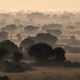 Queen Elizabeth National Park