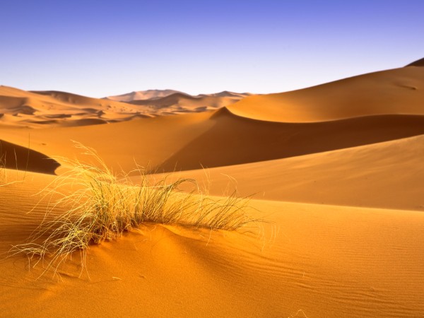 Sahara | Marocco Viaggio