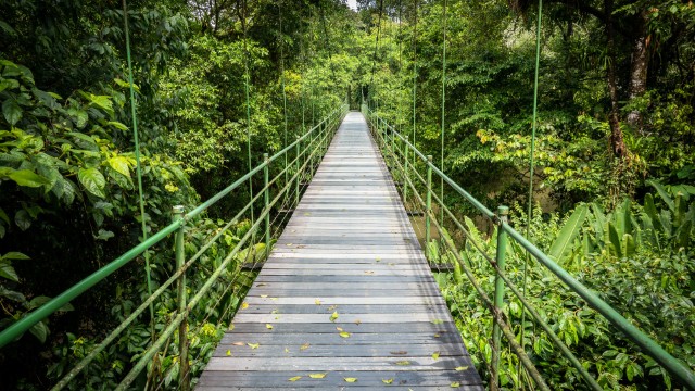 Sarapiqui | Viaggio in Colombia