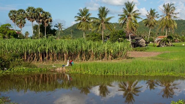 Dintorni di Battambang | Viaggio in Indocina