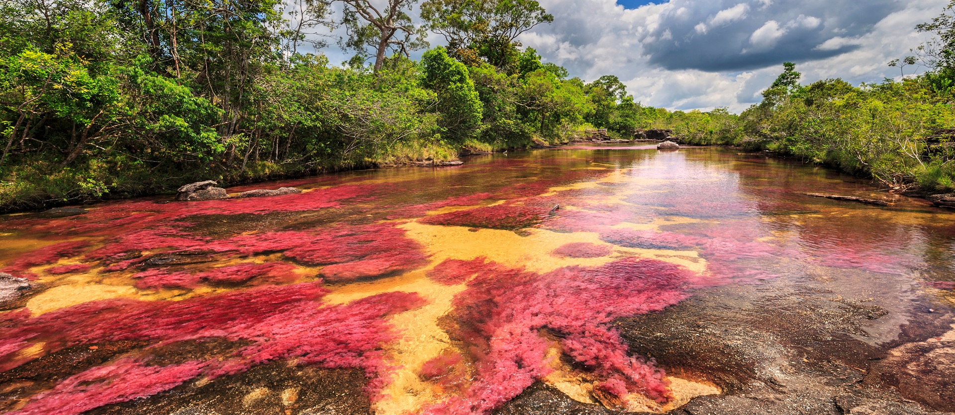 Tour Colombia Special