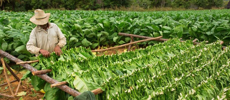 Tour Cuba Original | Viaggio a Cuba