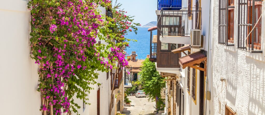 Tour Turchia Original