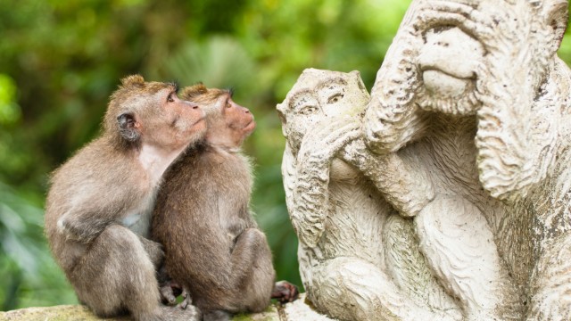 Ubud | Tour Giava e Bali