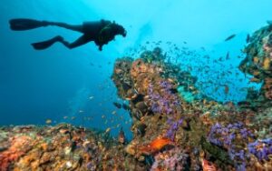 Dive alle Maldive | Viaggiare alle Maldive