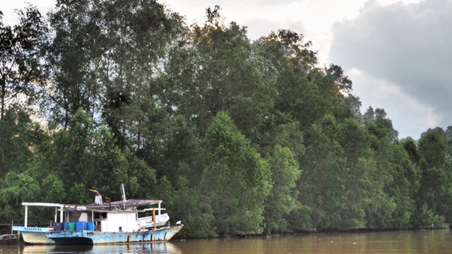 Kinabatangan River | Tour Borneo Malese