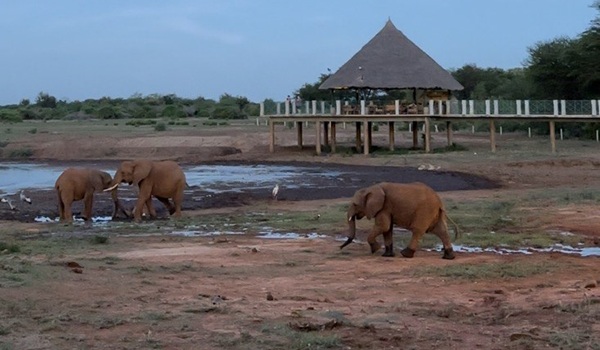 Manyatta Camp dintorni | Safari in Kenya