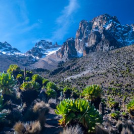 Mt Kenya | Viaggiare in Kenya