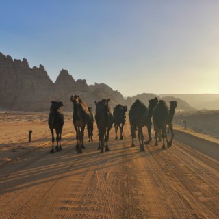 Altopiano desertico Najd