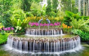 Giardino nazionale delle orchidee | Viaggiare a Singapore