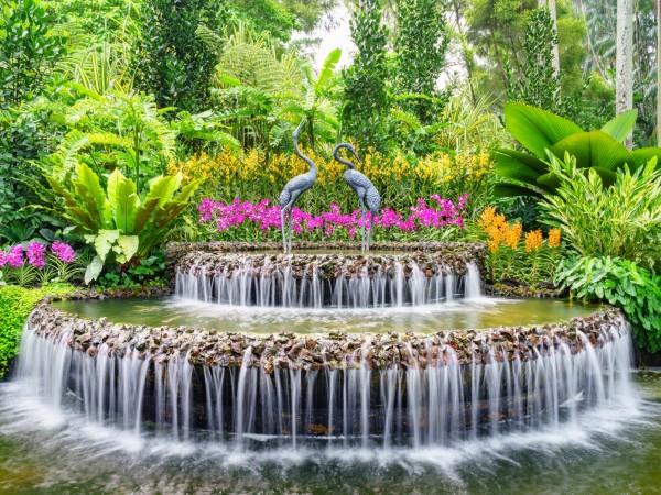 Visitare i Giardini Botanici di Singapore