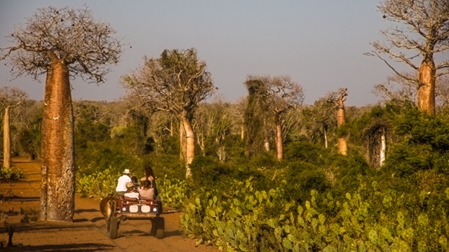 Sud Madagascar | Viaggio Madagascar