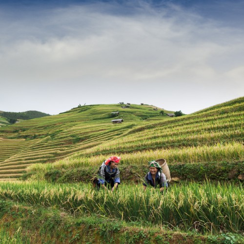 Locali di Hmong | Viaggiare in Laos