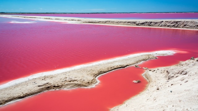 Rio Lagartos | Tour Yucatan