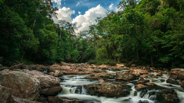 Taman Negara NP | Tour Malesia