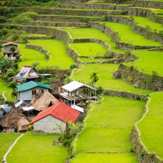 Terrazze di riso