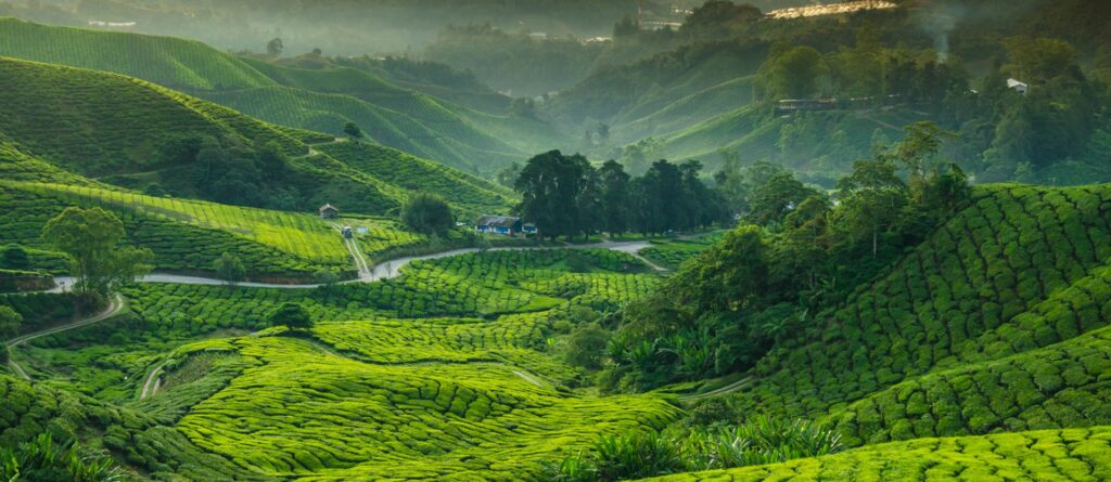 Tour Penisola Malese e Singapore | Tour Malesia