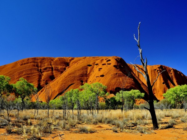 Uluru | Australia Viaggio