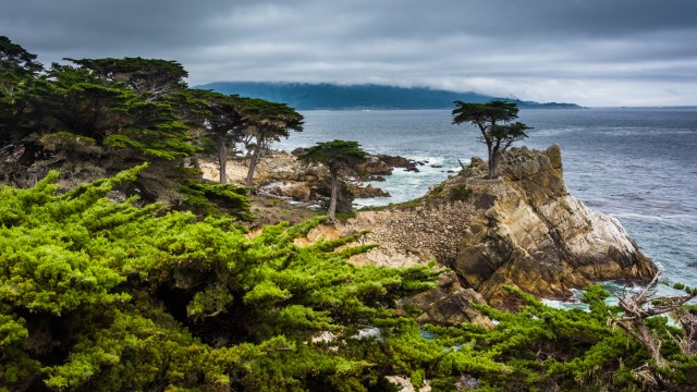 17 Miles Drive | Tour California