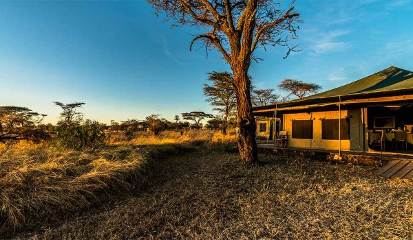 Ang'ata Serengeti Camp ristorante | Safari Tanzania Zanzibar