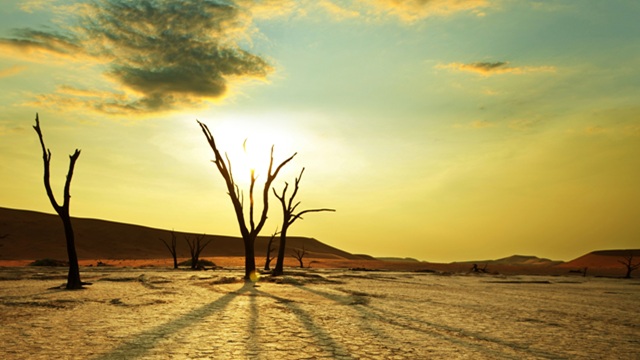 Deadvlei | Tour Sudafrica e Namibia