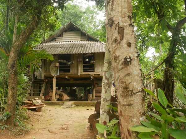 Conoscere lo stile di vita delle famiglie locali a Mai Chau