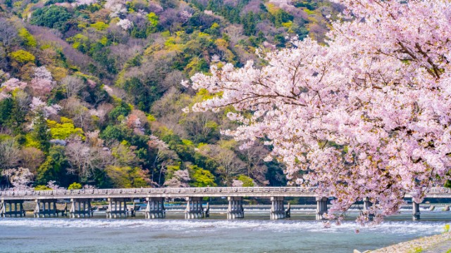 Kyoto Togetsukyo Bridge