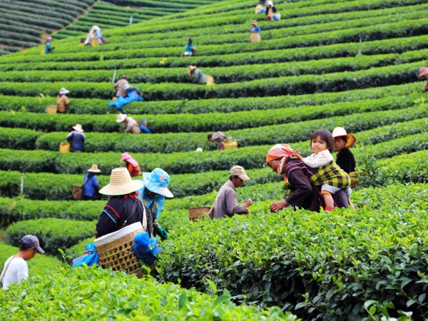 Viaggiare tra gli splendidi paesaggi del nord