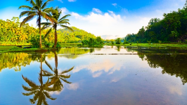 Paesaggi interni dello Sri Lanka | Tour Sri Lanka