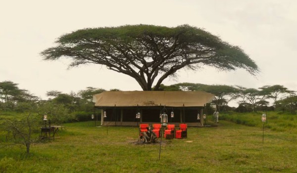 Pamoja Migration Camp ristorante | Safari Tanzania Zanzibar