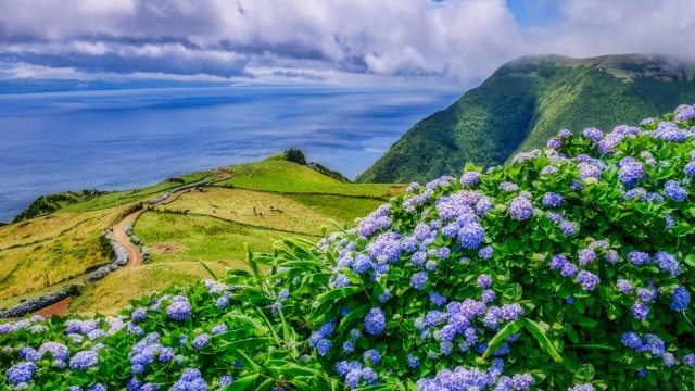 Sao Jorge Serra do Topo | Viaggio Azzorre