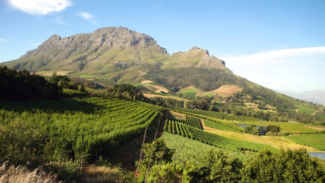 Stellenbosch | Tour Sudafrica