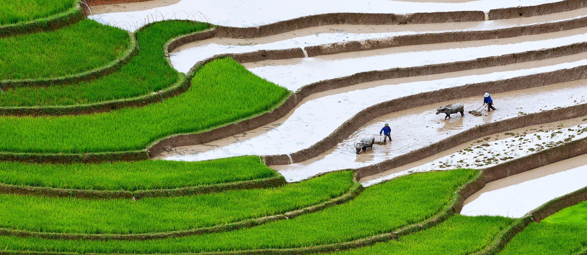 Tour Vietnam Original