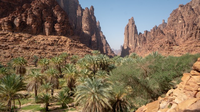 Wadi Al Disah | Tour Arabia Saudita