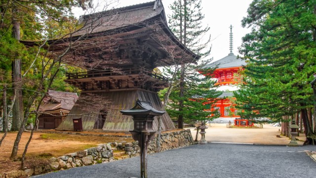 Koysan, Danjo Garan | Tour del Giappone