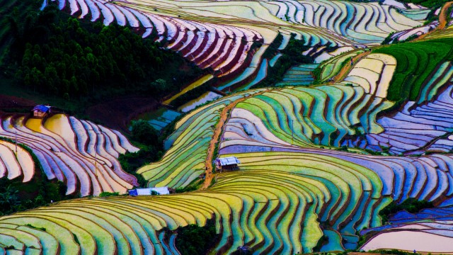 Terrace Field Vietnam