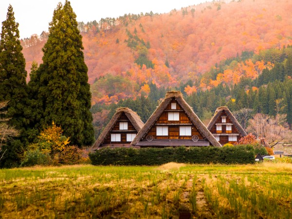 Scoprire Shirakawa-go, l’antico borgo feudale