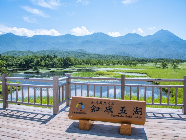 Scoprire il lato selvaggio del Giappone allo Shiretoko National Park
